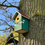 Ein mit Blumen bemaltes Vogelhaus hängt an einem Baum