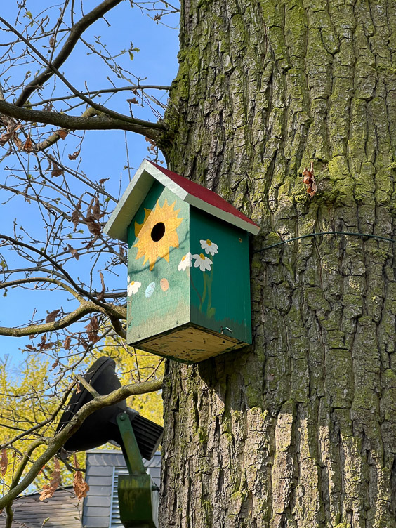 Wir bauen Vogelhäuser